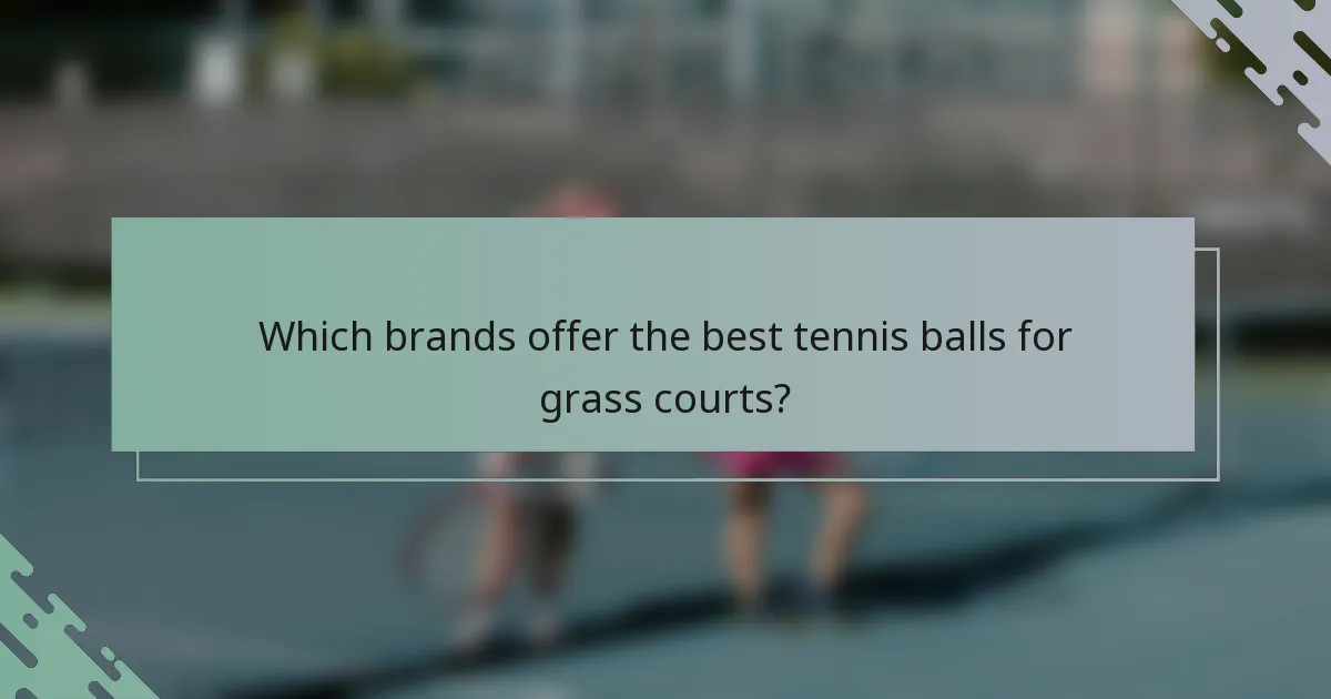 Which brands offer the best tennis balls for grass courts?